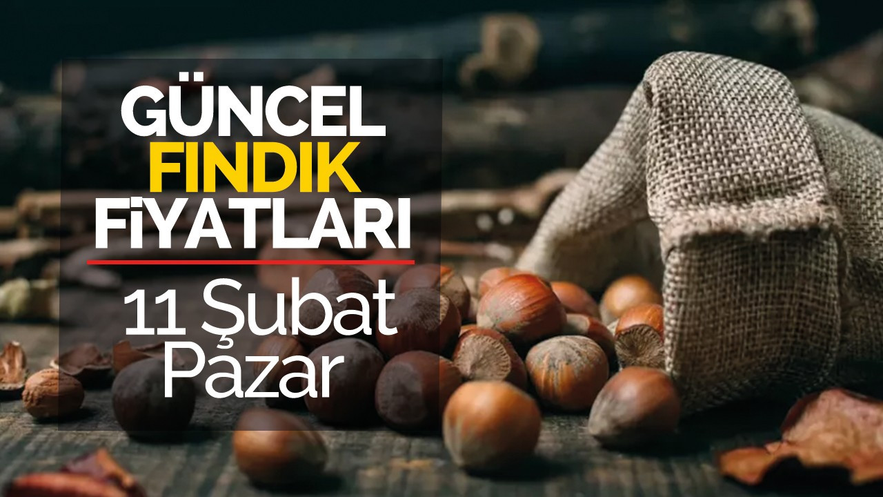 11 Şubat Pazar Güncel Fındık Fiyatları