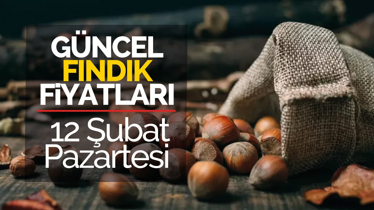 12 Şubat Pazartesi Güncel Fındık Fiyatları