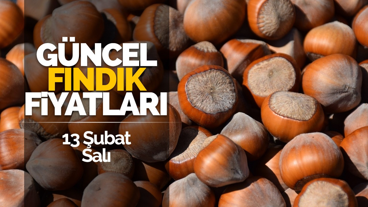 13 Şubat Salı Güncel Fındık Fiyatları