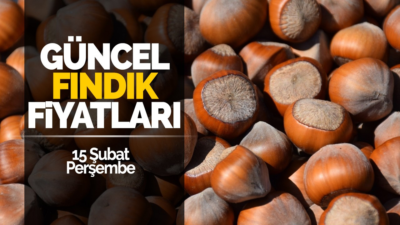 15 Şubat Perşembe Güncel Fındık Fiyatları