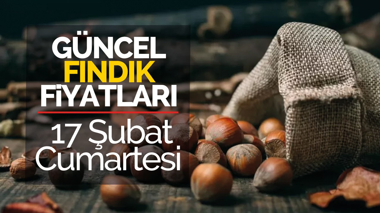 17 Şubat Cumartesi Güncel Fındık Fiyatları