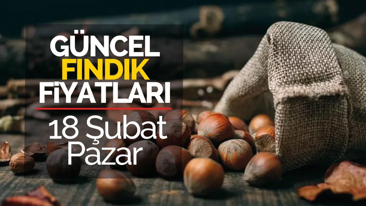 18 Şubat Pazar Güncel Fındık Fiyatları