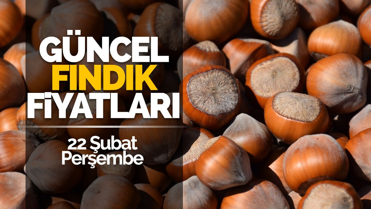 22 Şubat Perşembe Güncel Fındık Fiyatları