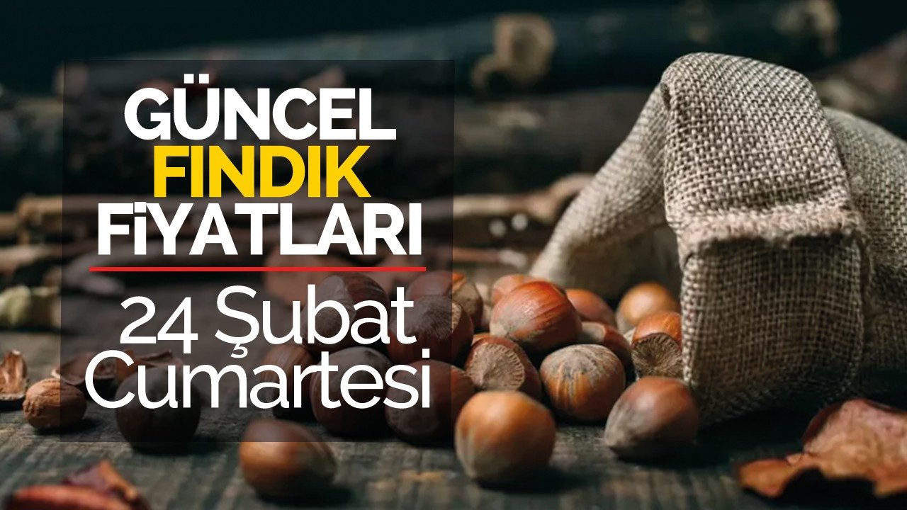 24 Şubat Cumartesi Güncel Fındık Fiyatları