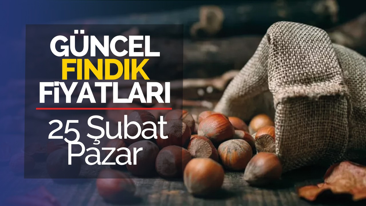 25 Şubat Pazar Güncel Fındık Fiyatları