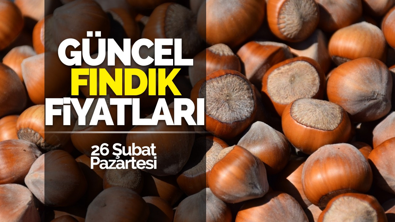 26 Şubat Pazartesi Güncel Fındık Fiyatları