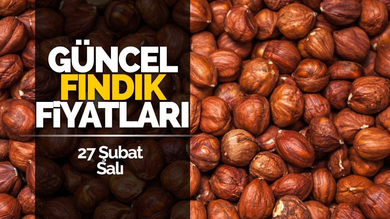 27 Şubat Salı Güncel Fındık Fiyatları