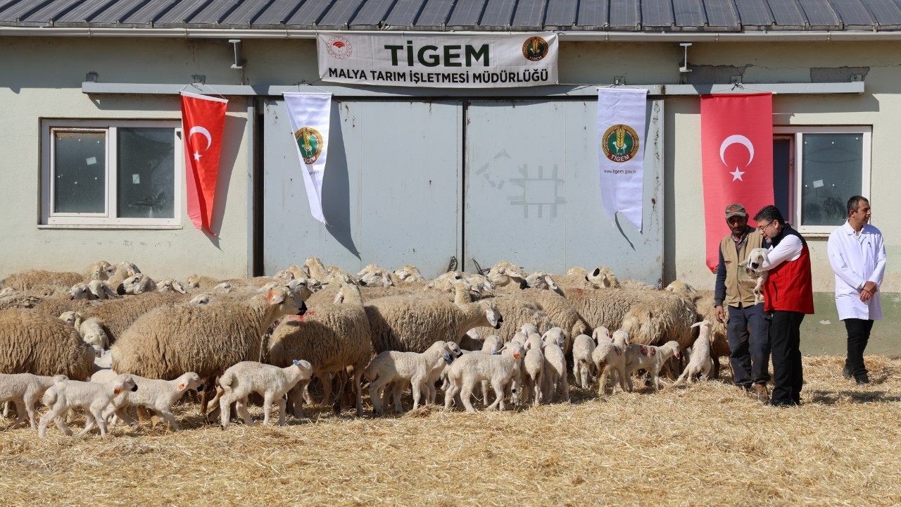 Tarım ve Orman Bakanı Yumaklı: "Ramazan ayı öncesi fırsatçılara izin vermeyeceğiz"