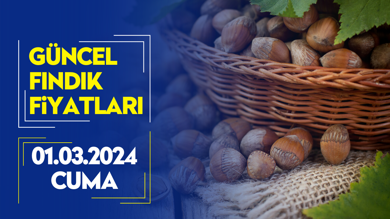 1 Mart Cuma Güncel Fındık Fiyatları