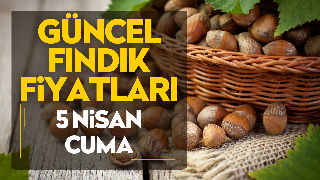 5 Nisan Cuma Güncel Fındık Fiyatları