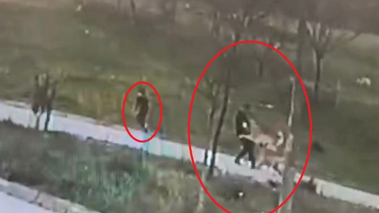 Bursa'da başıboş köpek dehşeti kamerada...Oğlu için kendini feda etti ölümden döndü