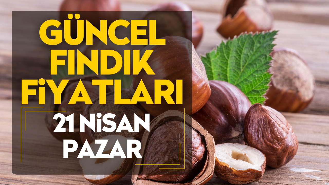 21 Nisan Pazar Güncel Fındık Fiyatları