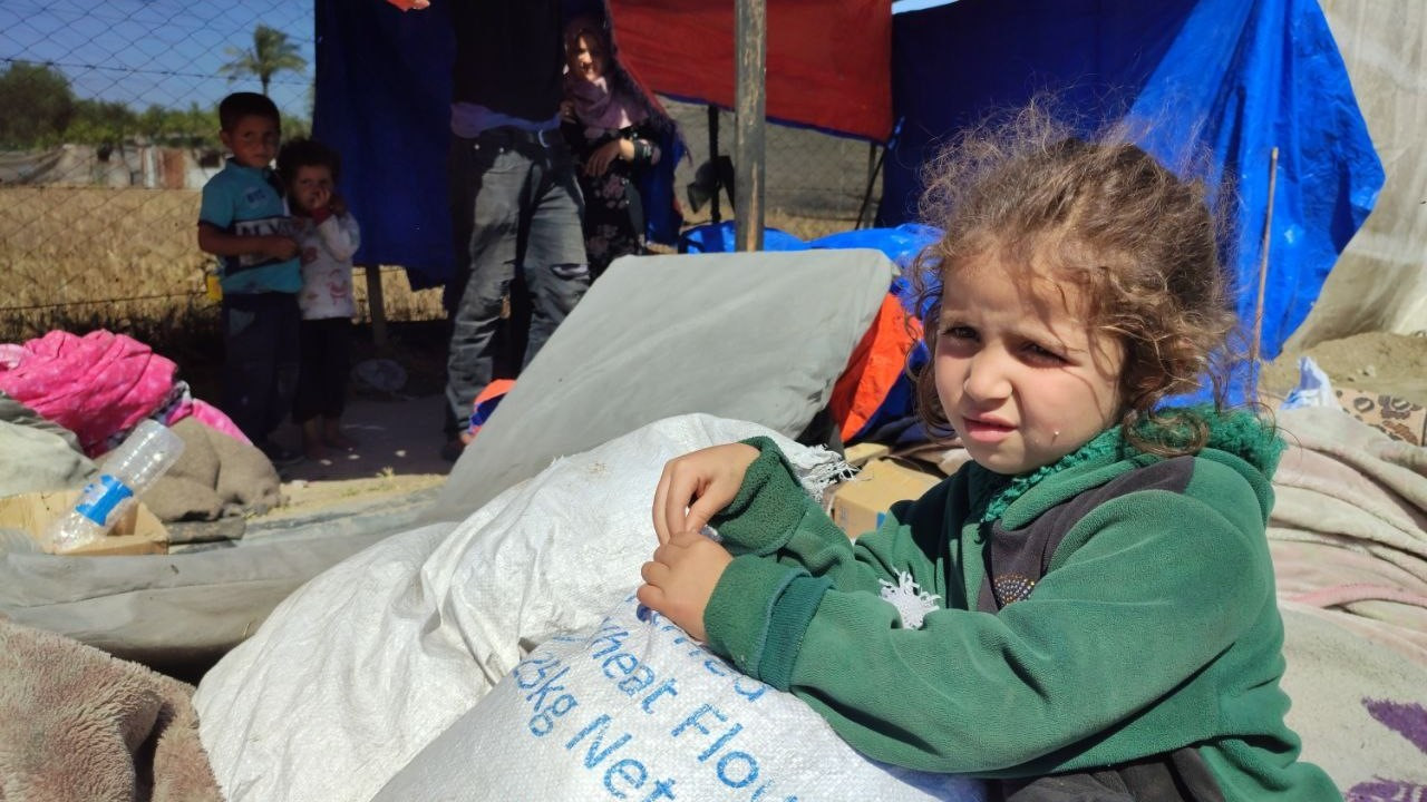 Refah’tan zorla yerinden edilen Filistinliler çadır kampları kuruyor