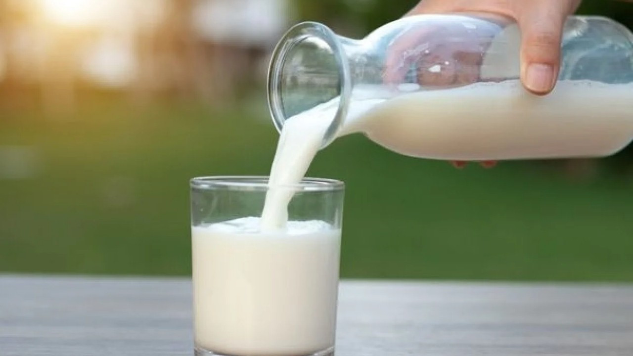 Laktozsuz süt nedir? Laktozsuz sütün faydaları nelerdir?