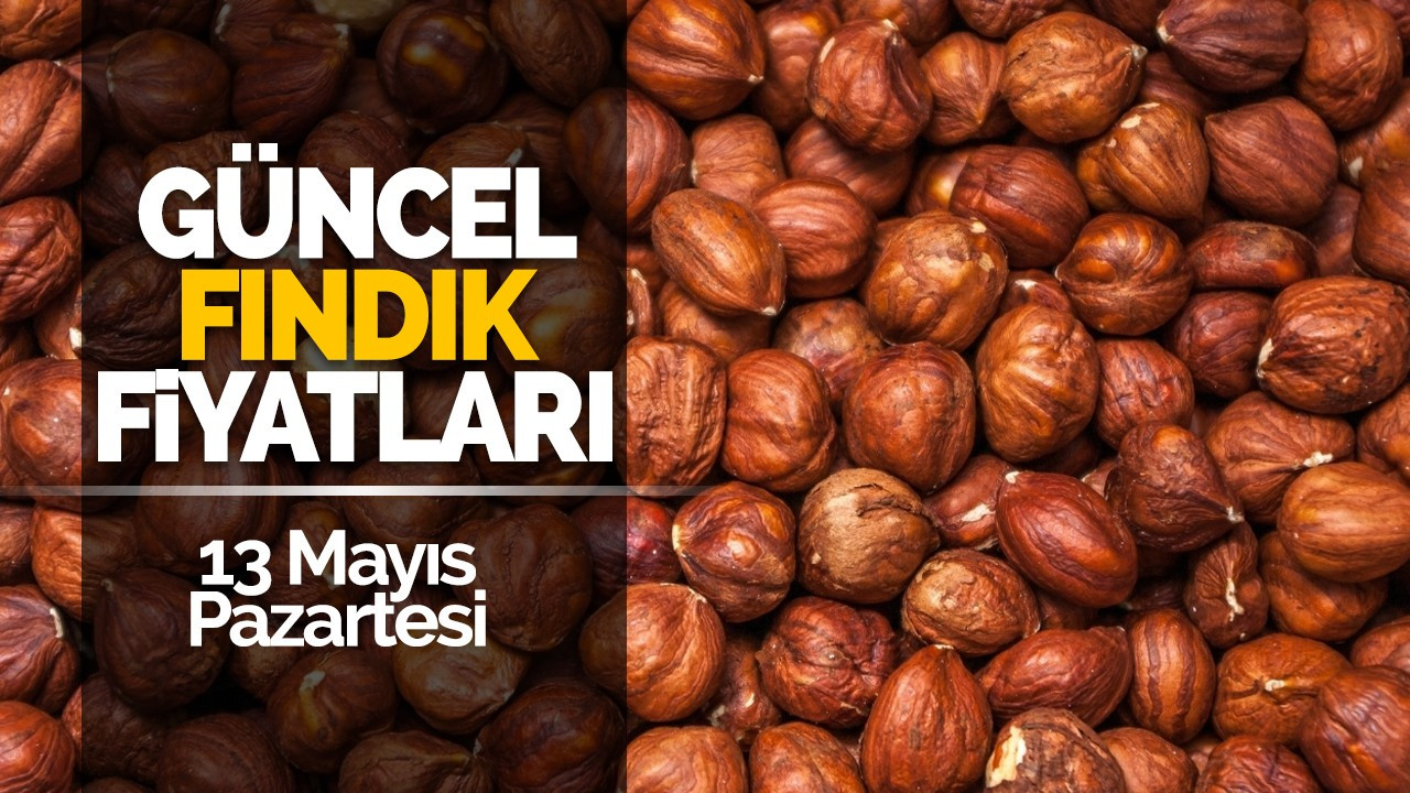 13 Mayıs Pazartesi Güncel Fındık Fiyatları