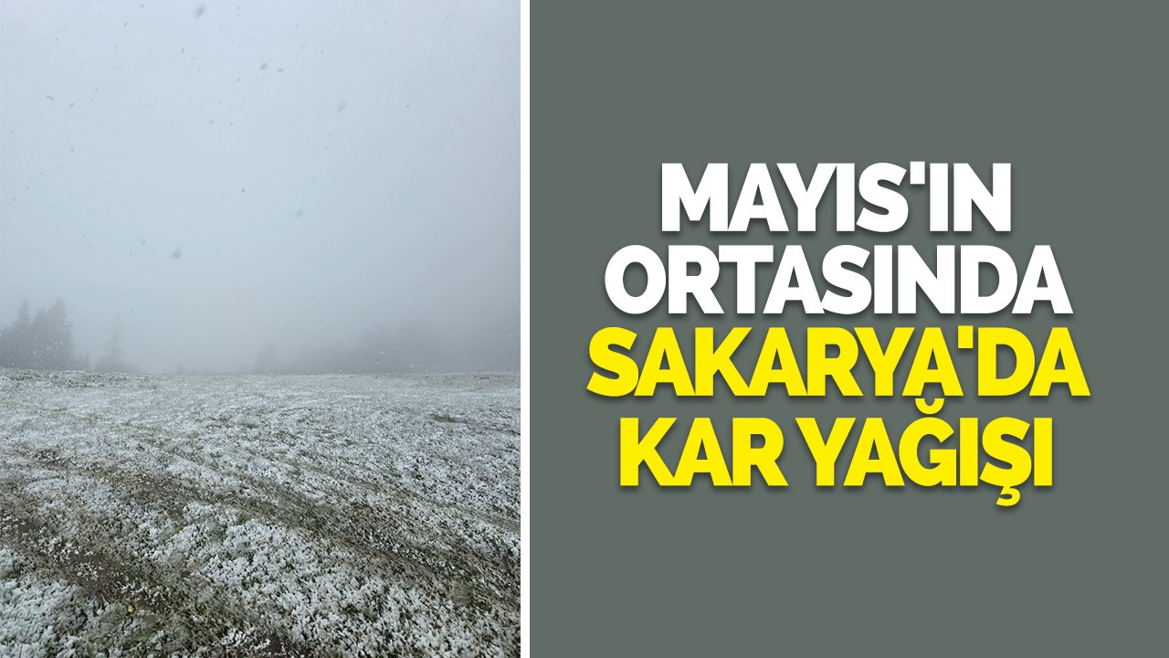 Mayıs'ın ortasında Sakarya'da kar yağışı