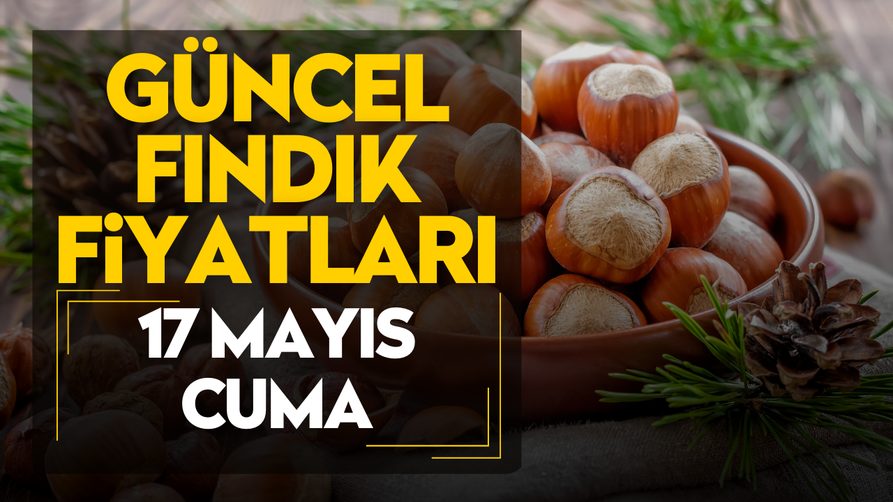 17 Mayıs Cuma Güncel Fındık Fiyatları