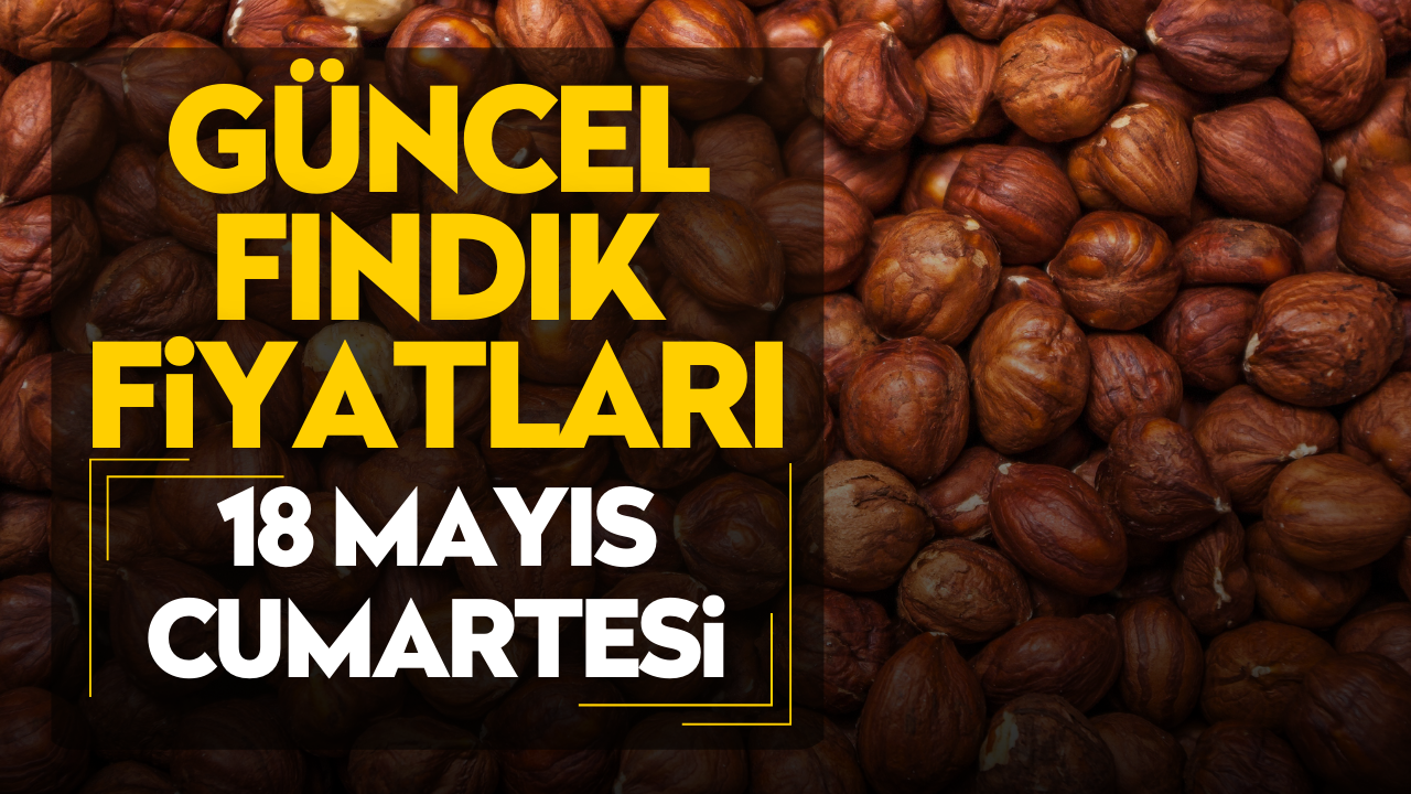 18 Mayıs Cumartesi Güncel Fındık Fiyatları