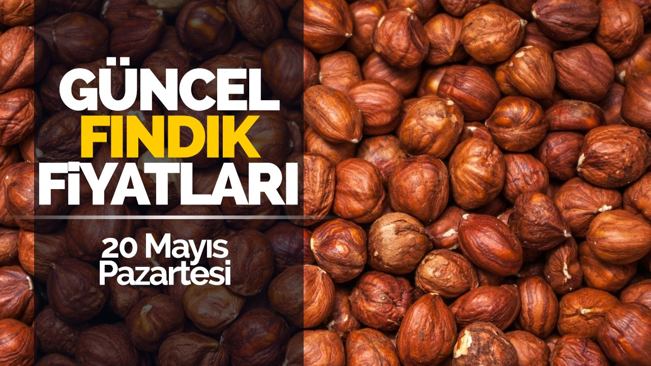 20 Mayıs Pazartesi Güncel Fındık Fiyatları