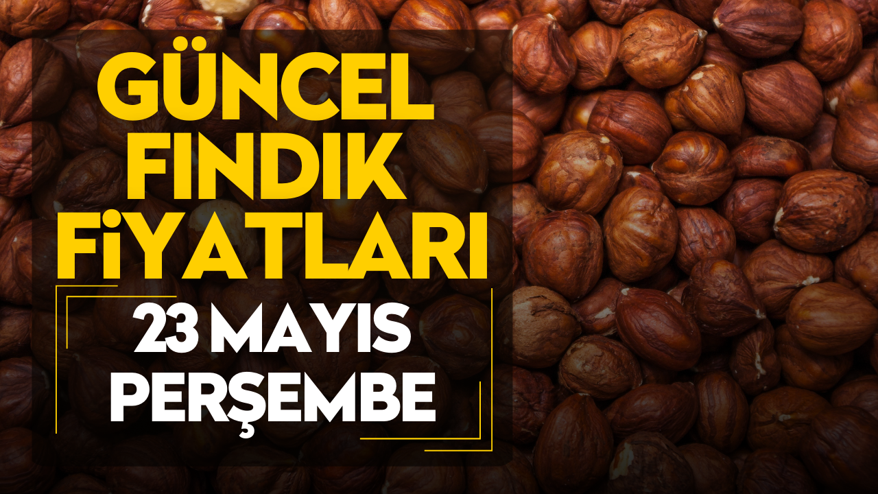 23 Mayıs Perşembe Güncel Fındık Fiyatları