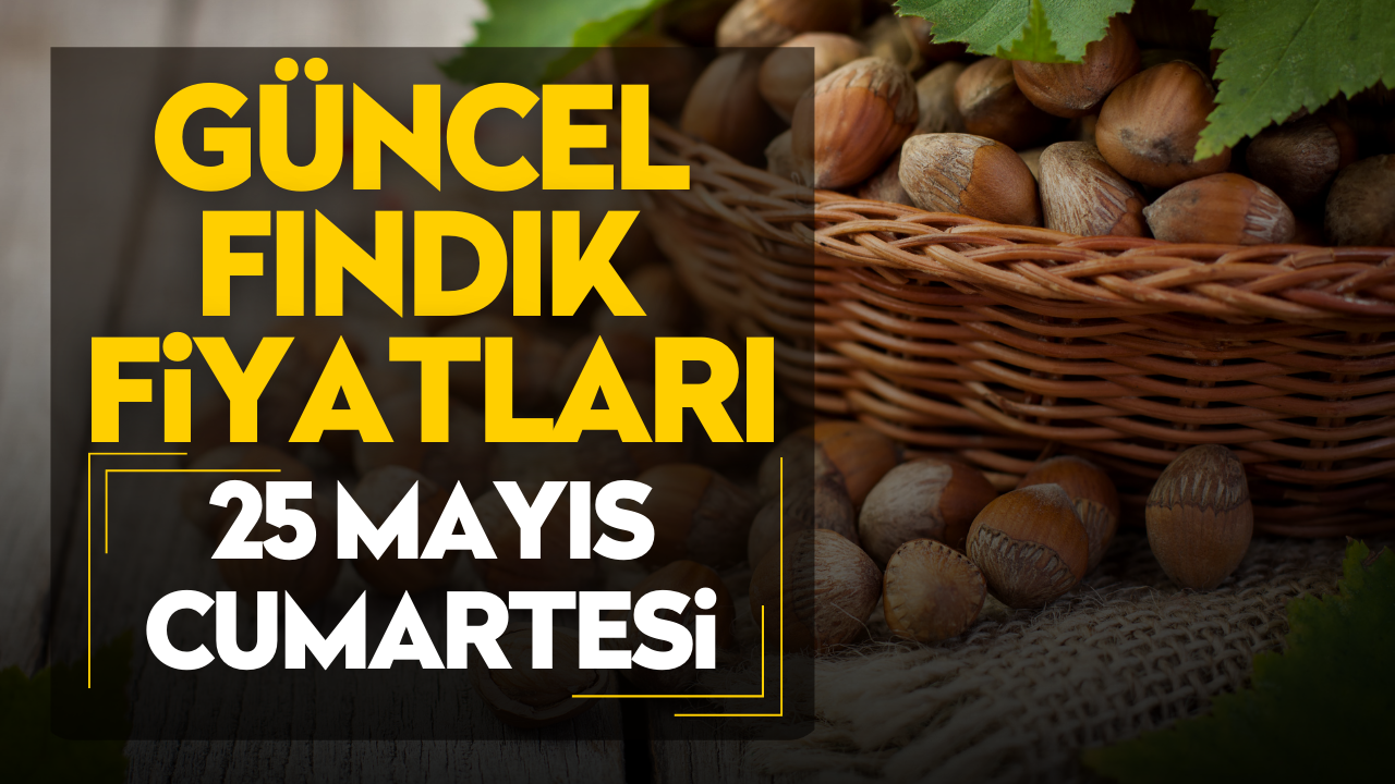 25 Mayıs Cumartesi Güncel Fındık Fiyatları