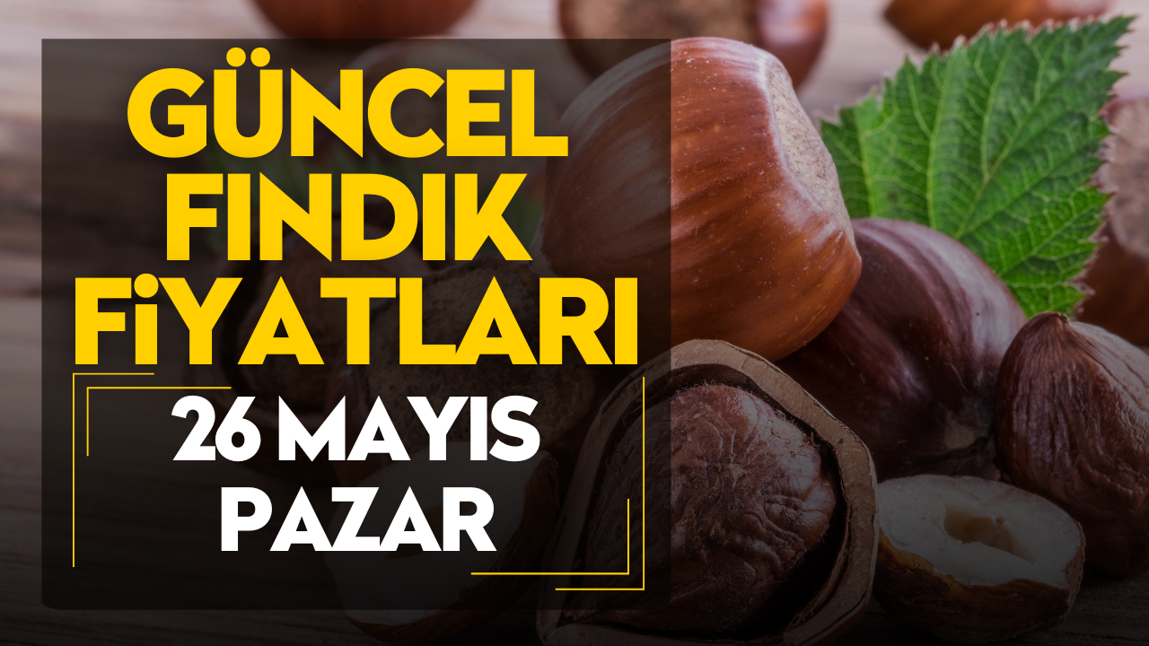 26 Mayıs Pazar Güncel Fındık Fiyatları