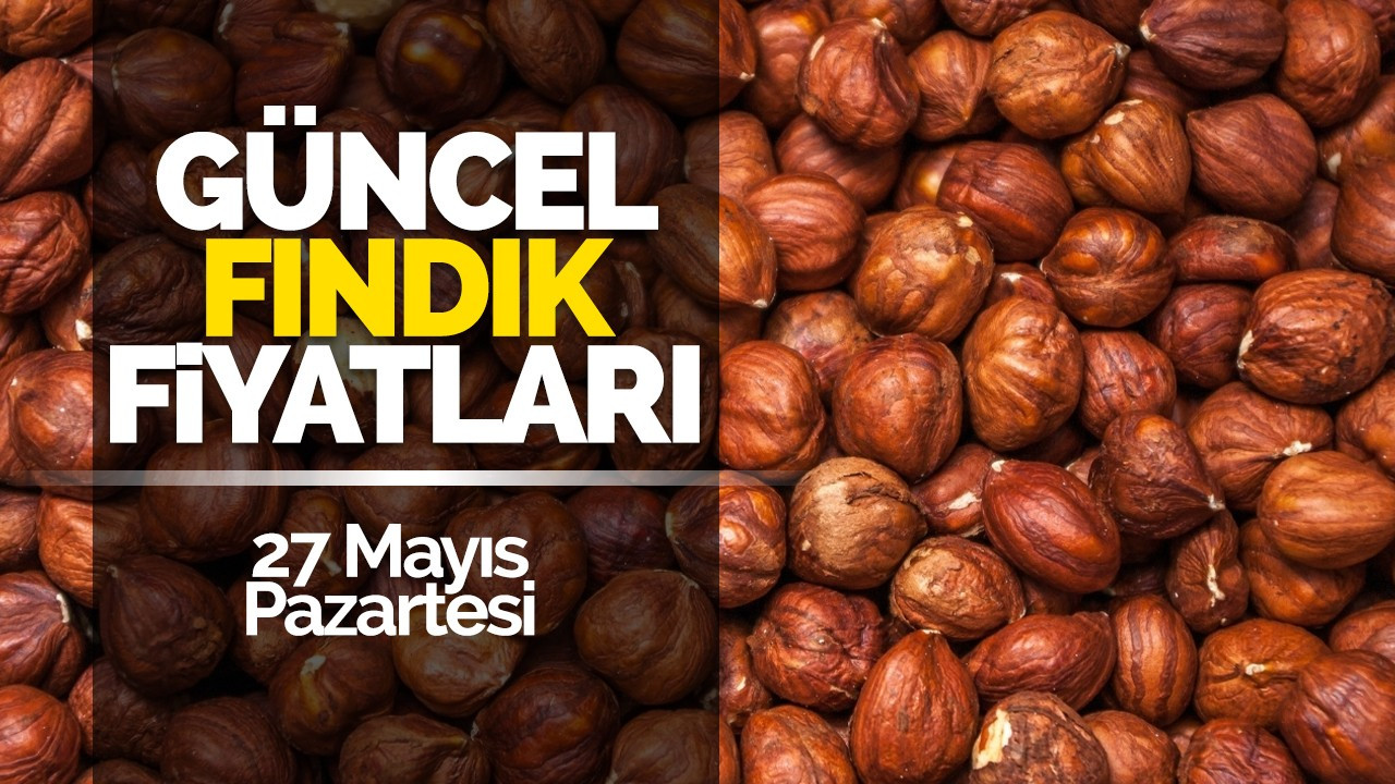 27 Mayıs Pazartesi Güncel Fındık Fiyatları