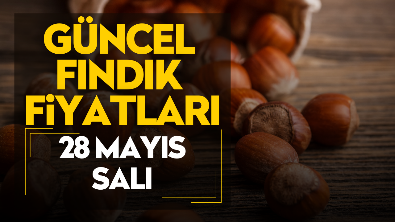 28 Mayıs Salı Güncel Fındık Fiyatları