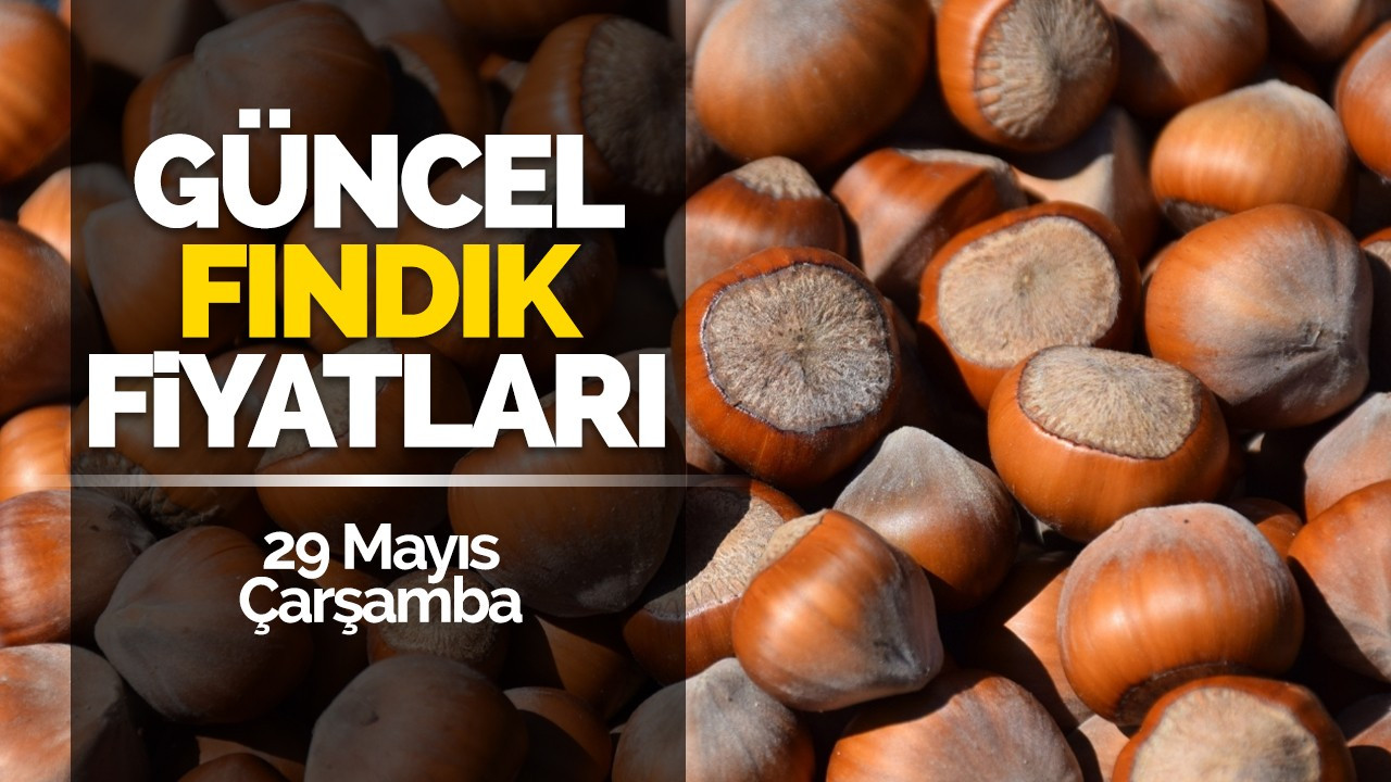 29 Mayıs Çarşamba Güncel Fındık Fiyatları