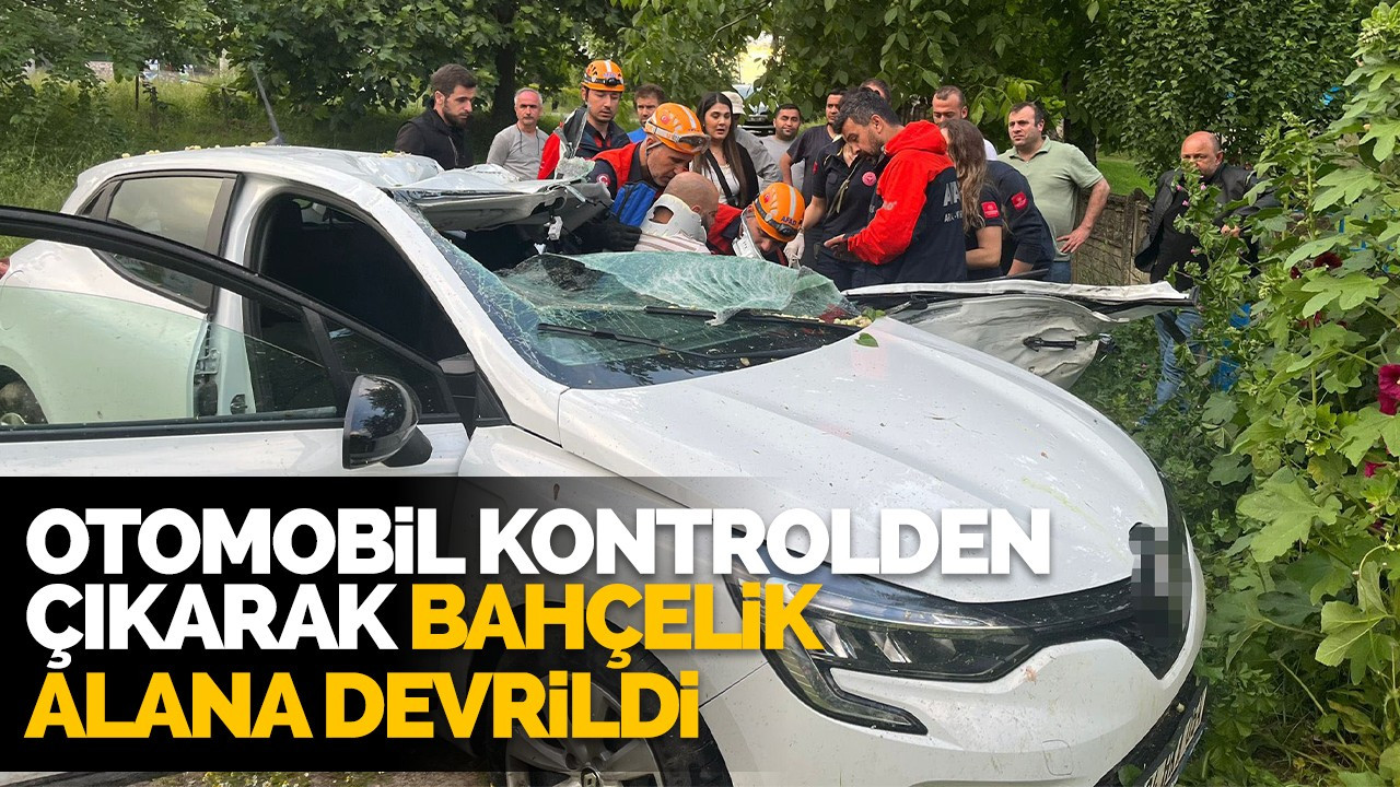 Otomobil kontrolden çıkarak bahçelik alana devrildi