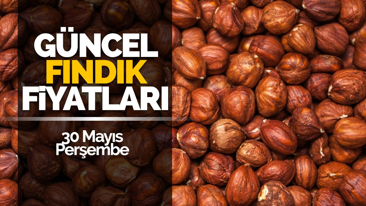 30 Mayıs Perşembe Güncel Fındık Fiyatları