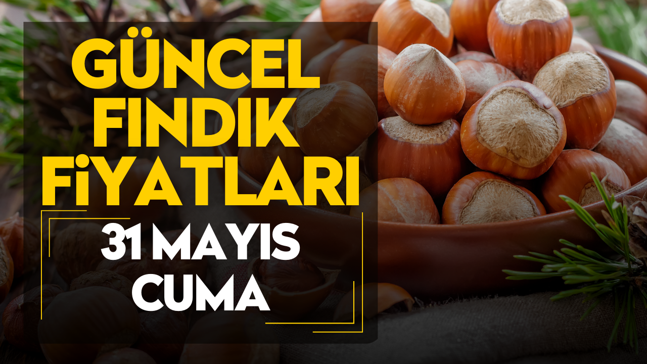 31 Mayıs Cuma Güncel Fındık Fiyatları