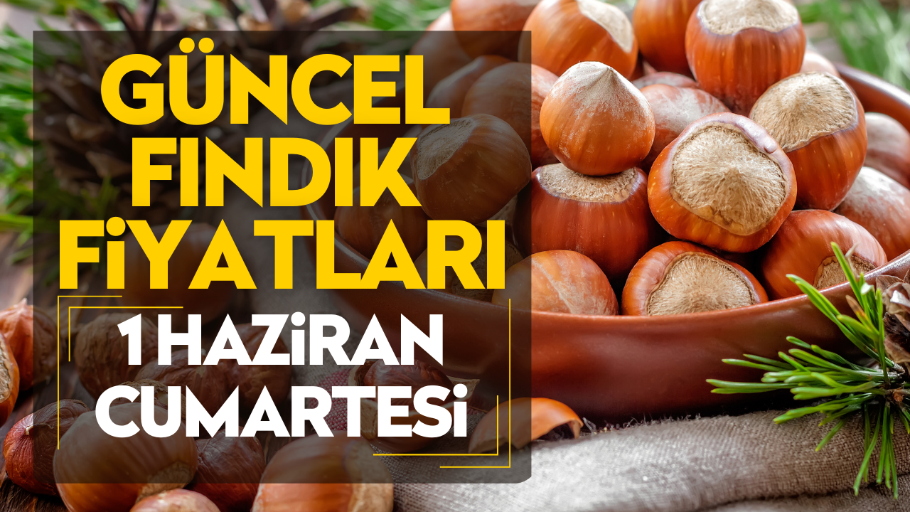 1 Haziran Cumartesi Güncel Fındık Fiyatları