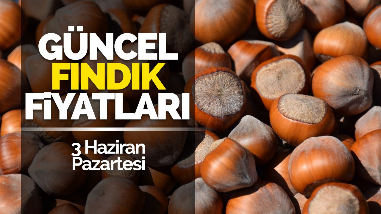 3 Haziran Pazartesi Güncel Fındık Fiyatları