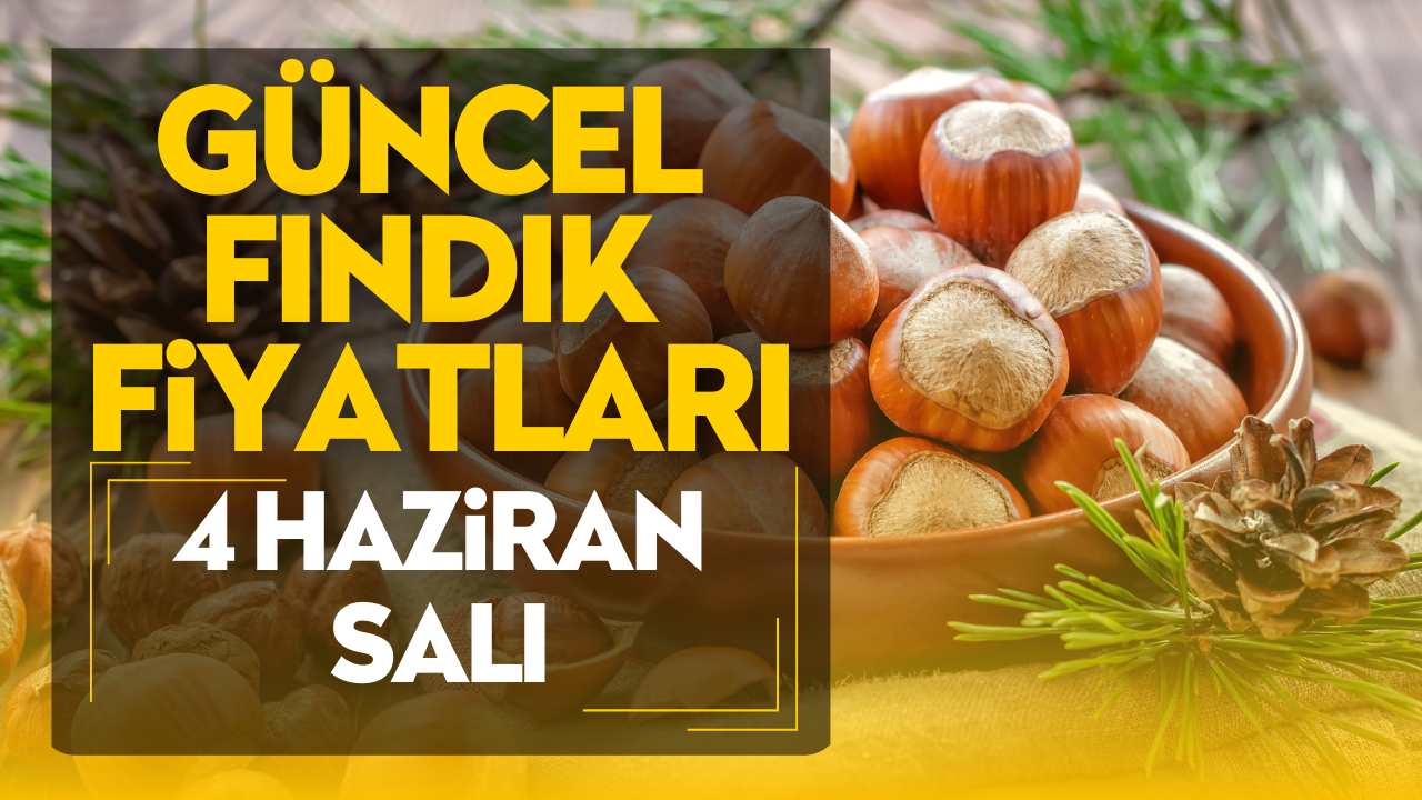 4 Haziran Salı Güncel Fındık Fiyatları