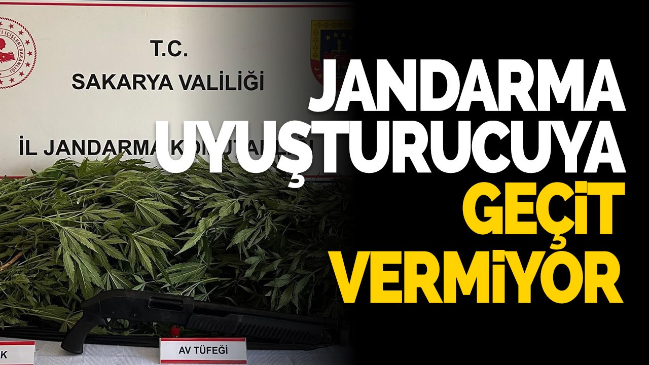 Jandarma uyuşturucuya geçit vermiyor: 5 gözaltı