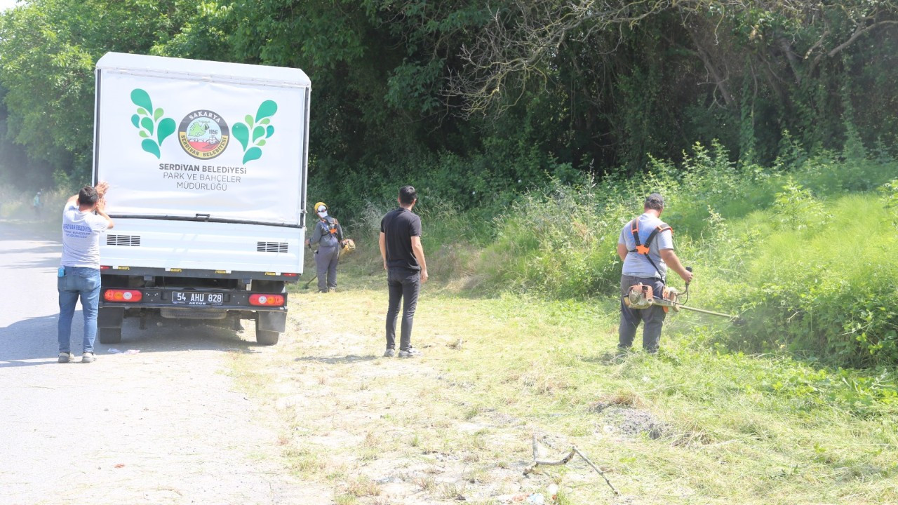 Serdivan’da Yabani Ot Temizliği Mesaisi