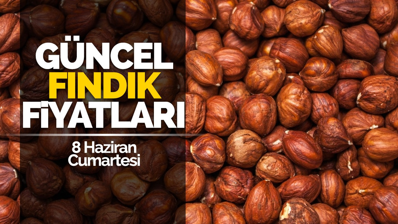 8 Haziran Cumartesi Güncel Fındık Fiyatları