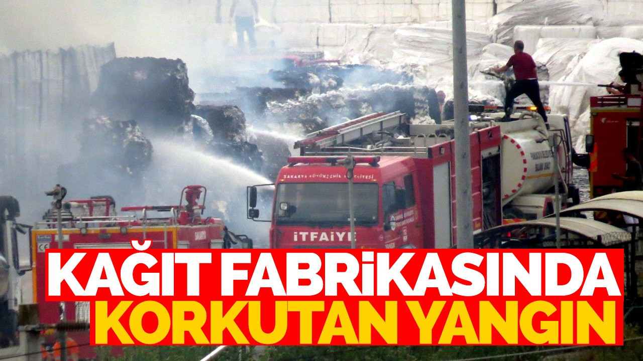 Sakarya'da kağıt fabrikasında korkutan yangın