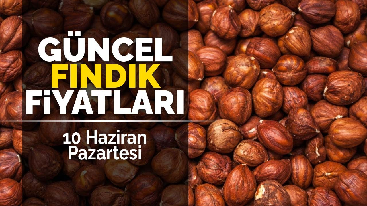 10 Haziran Pazartesi Güncel Fındık Fiyatları