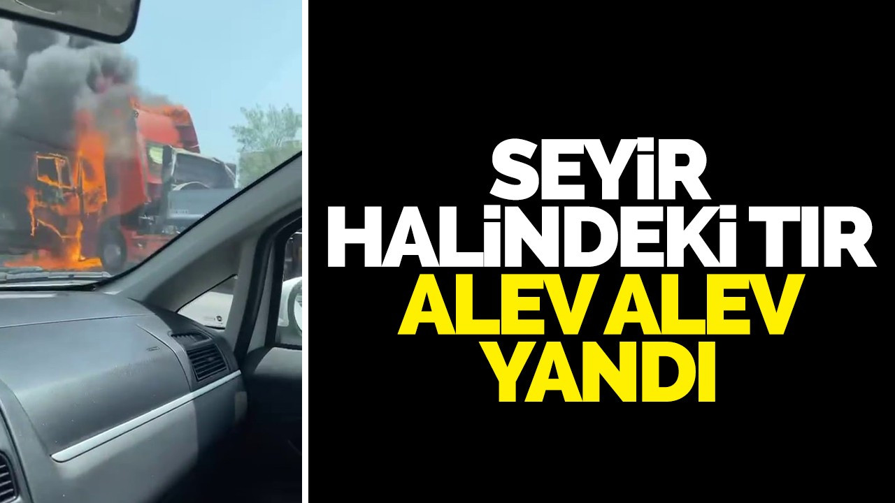 Seyir halindeki tır alev alev yandı