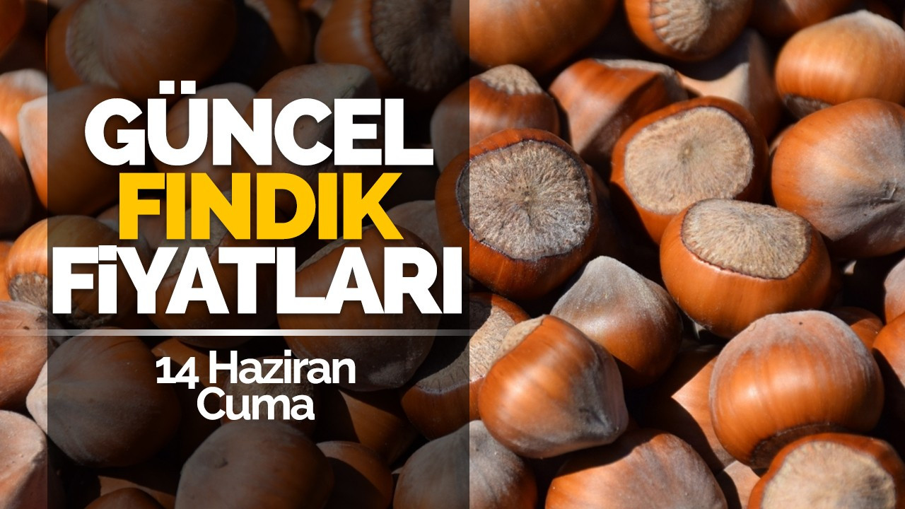 14 Haziran Cuma Güncel Fındık Fiyatlar