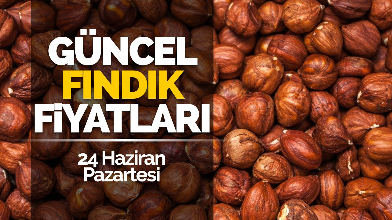 24 Haziran Pazartesi Güncel Fındık Fiyatlar