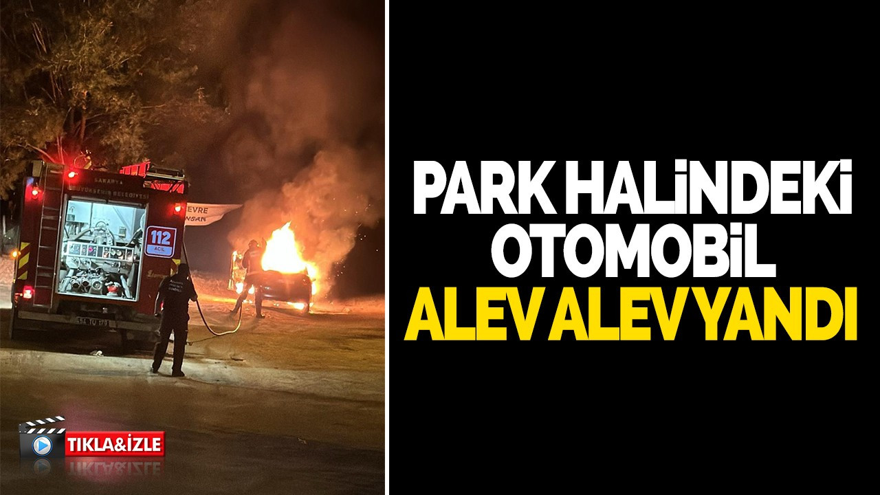 Benzin kaçağı sebebiyle park halindeki otomobil alev alev yandı