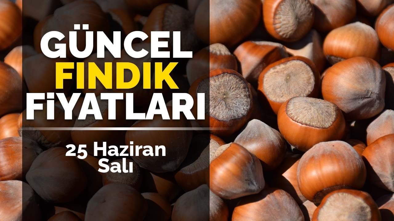 25 Haziran Salı Güncel Fındık Fiyatlar