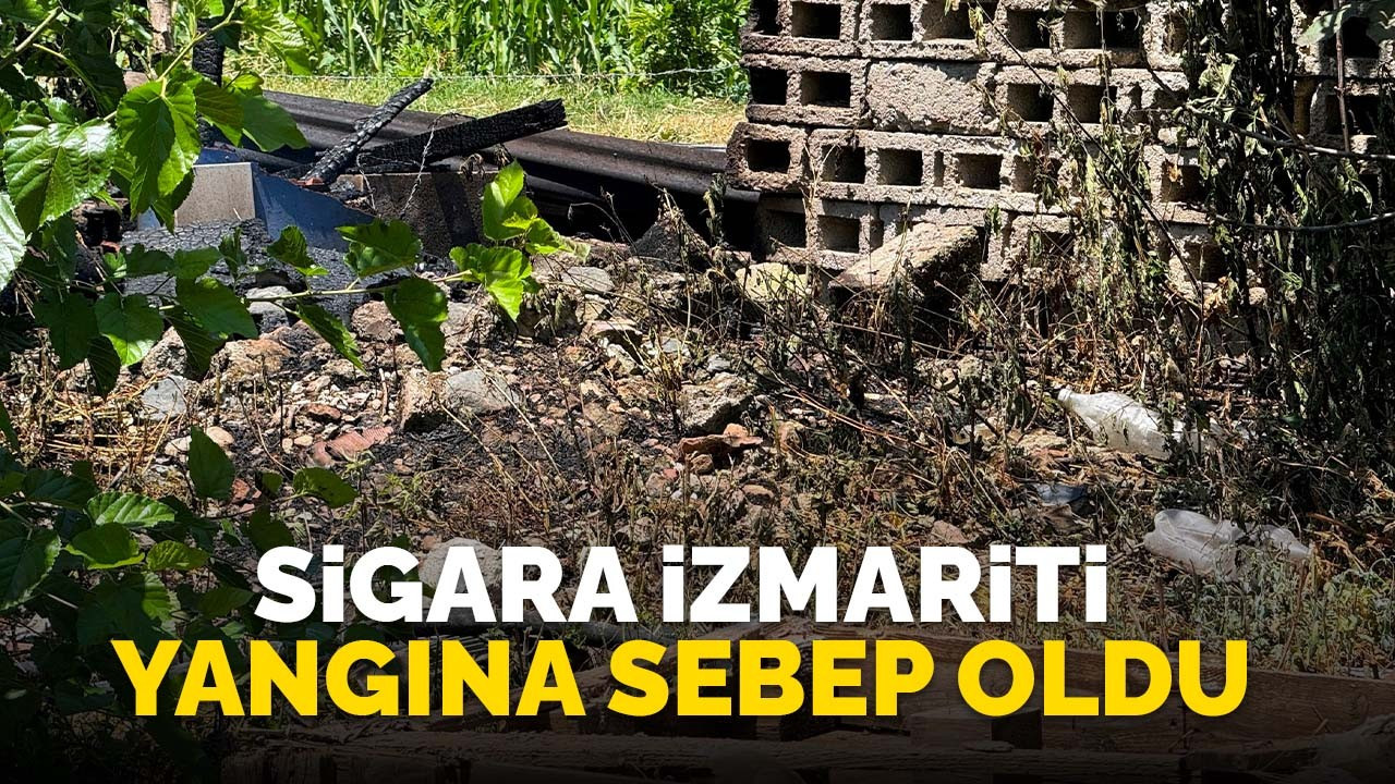 Bahçeye atılan sigara izmariti yangına sebep oldu