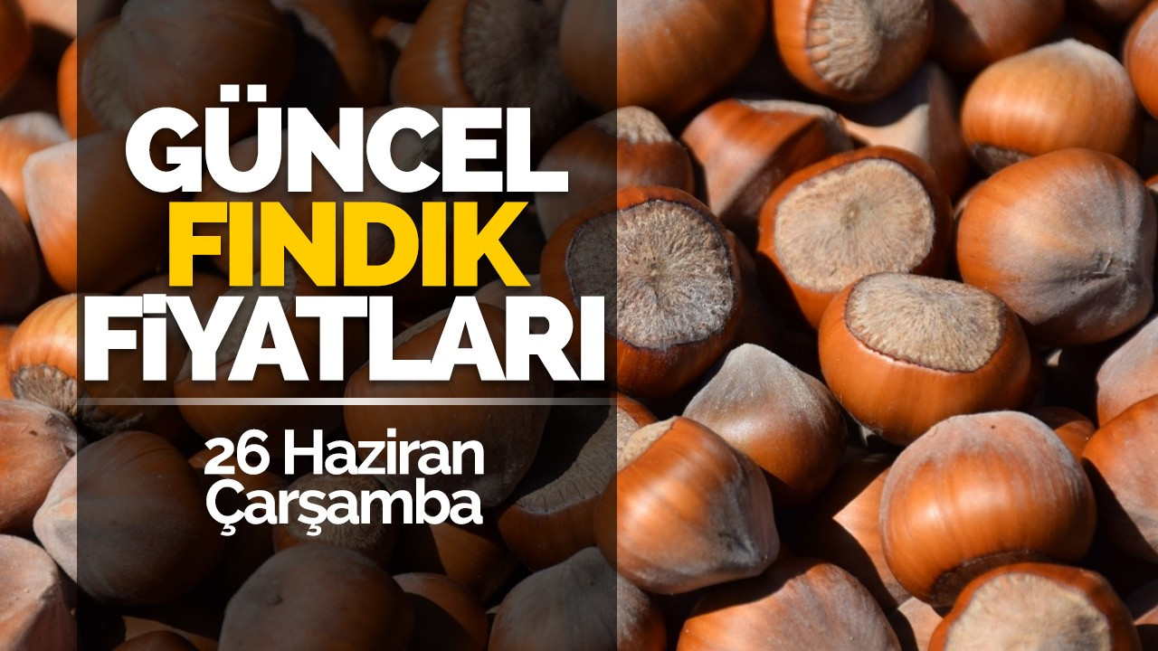 26 Haziran Çarşamba Güncel Fındık Fiyatlar