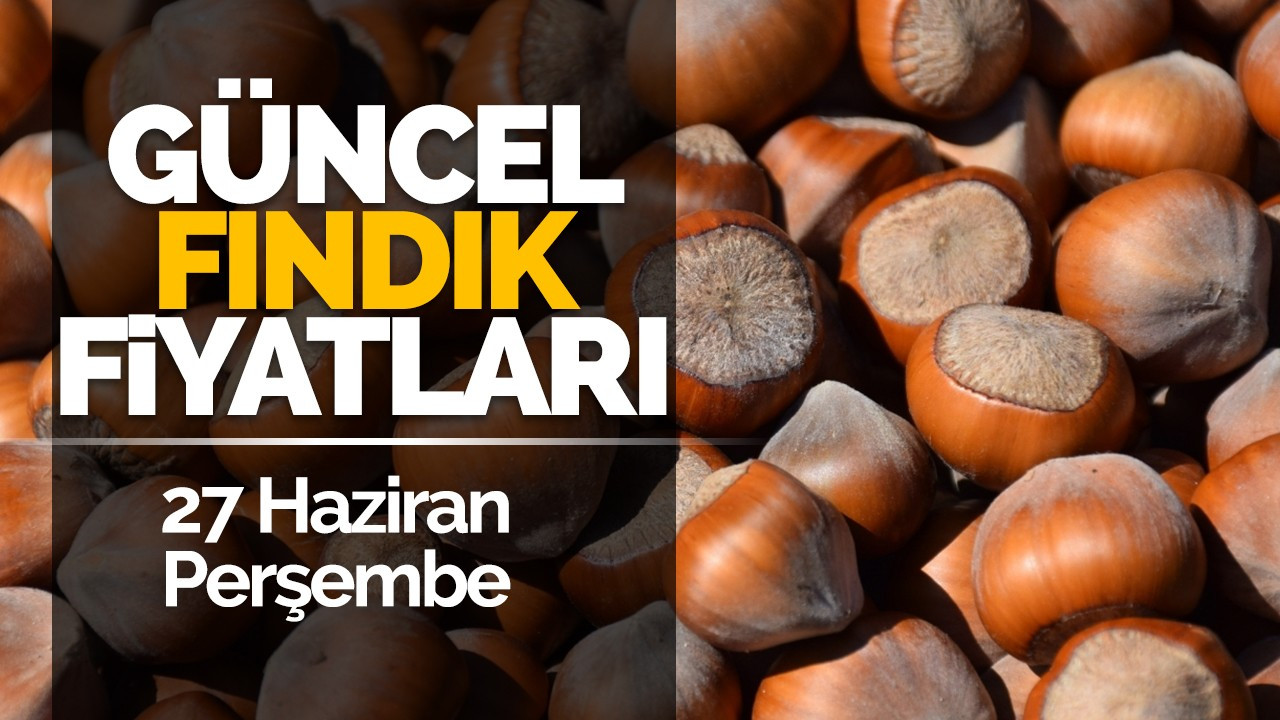 27 Haziran Perşembe Güncel Fındık Fiyatlar