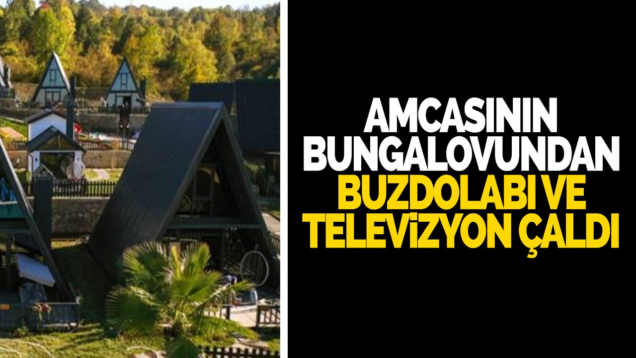 Amcasının bungalovundan buzdolabı ve televizyon çaldı