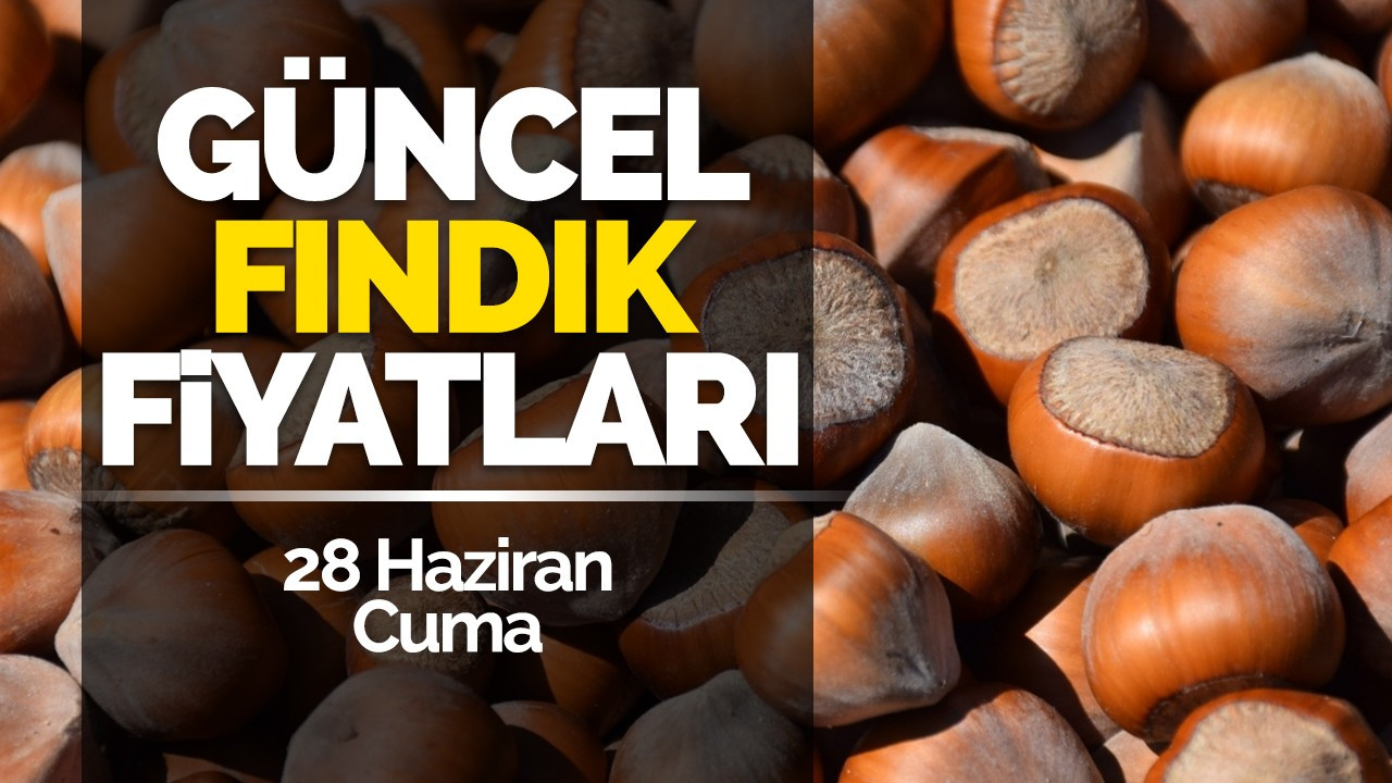 28 Haziran Cuma Güncel Fındık Fiyatlar